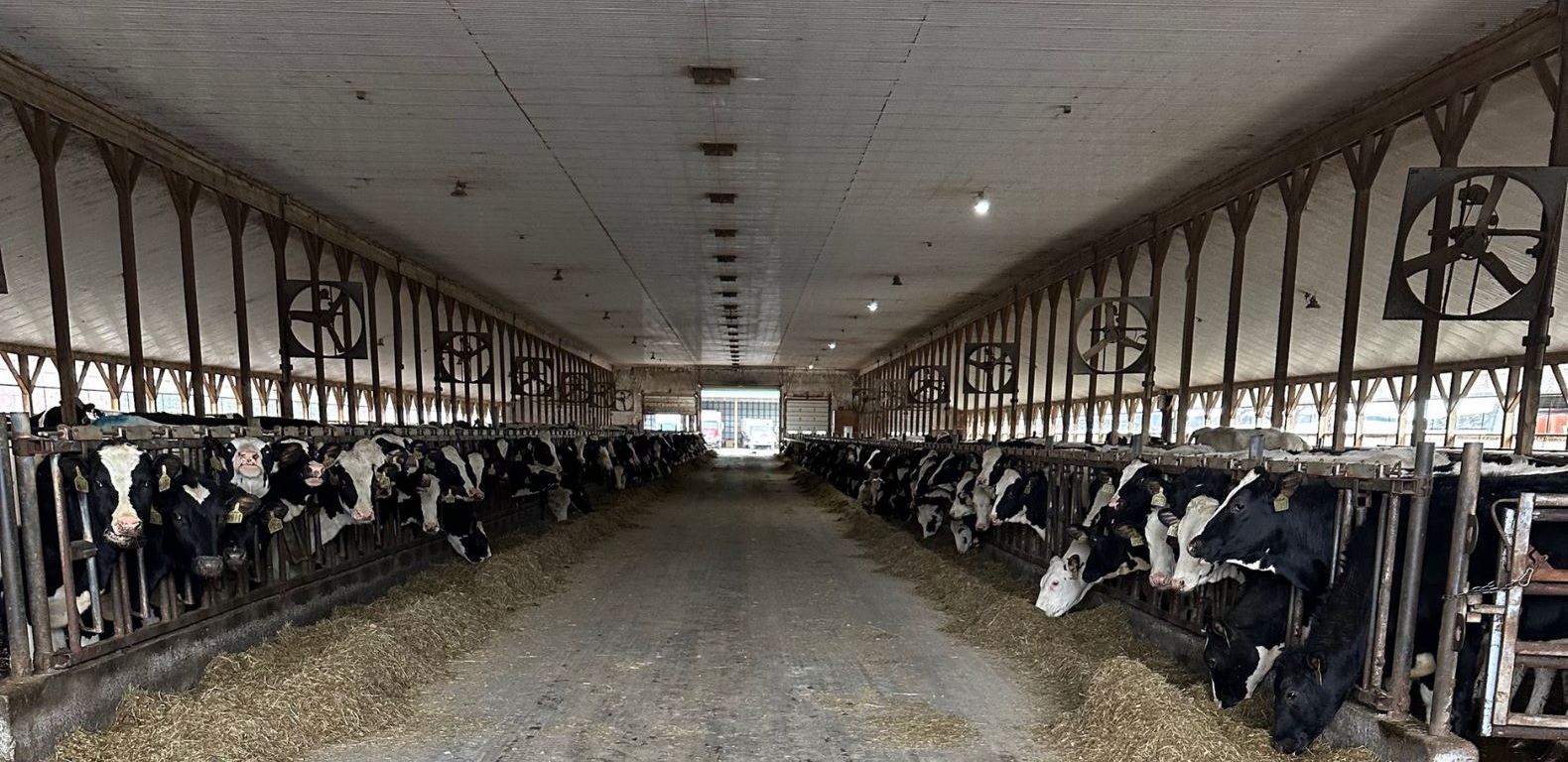 Commercial on-farm nutrient recovery from dairy digestate